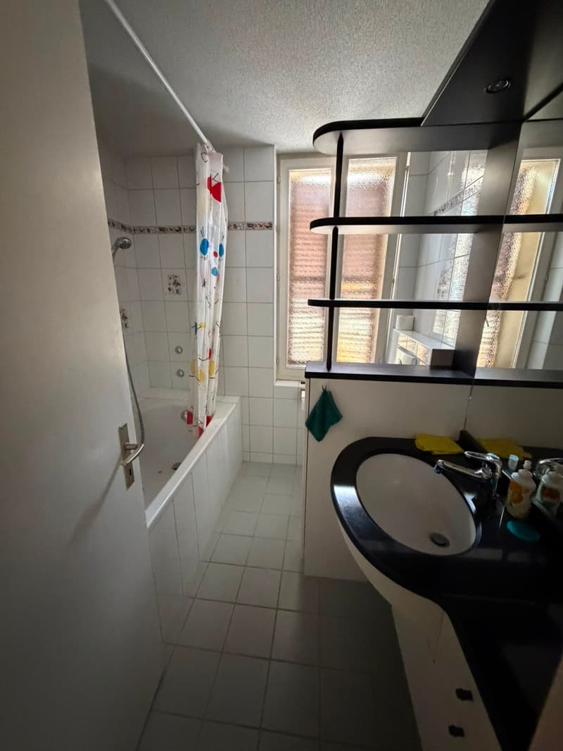 Charmantes Dachwohnung mit 4 Zimmern in Biel/Bienne (12)