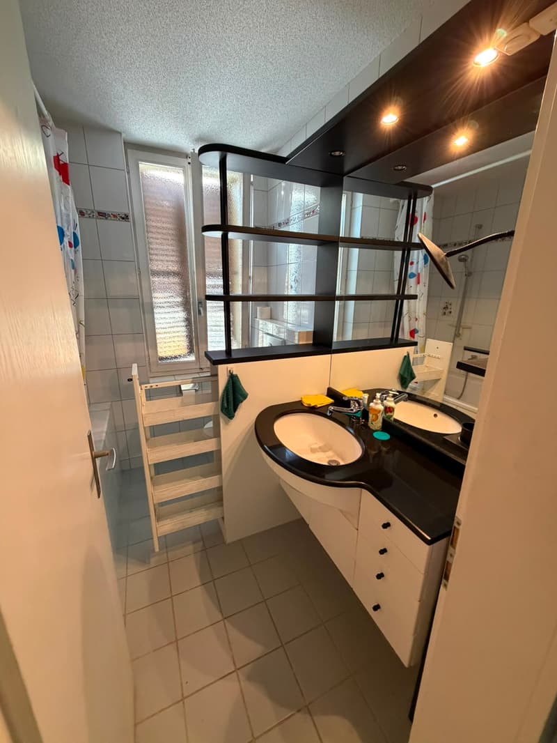 Charmantes Dachwohnung mit 4 Zimmern in Biel/Bienne (18)