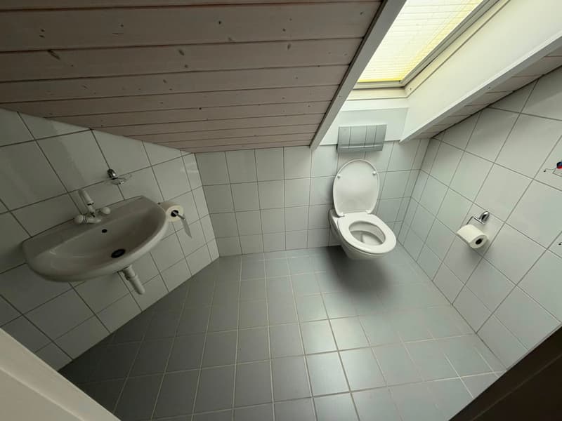 Charmantes Dachwohnung mit 4 Zimmern in Biel/Bienne (16)