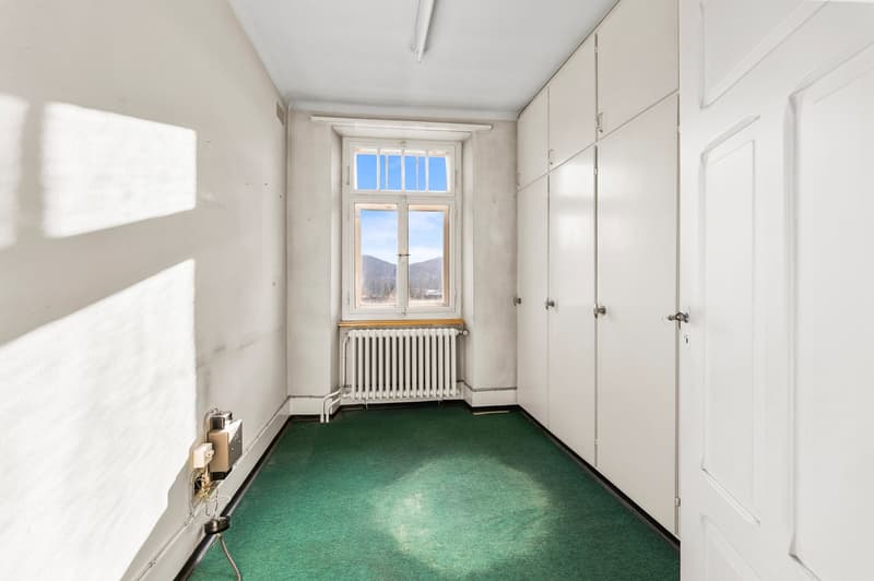 empty room, green carpet, window with view, white radiator, white built-in wardrobes