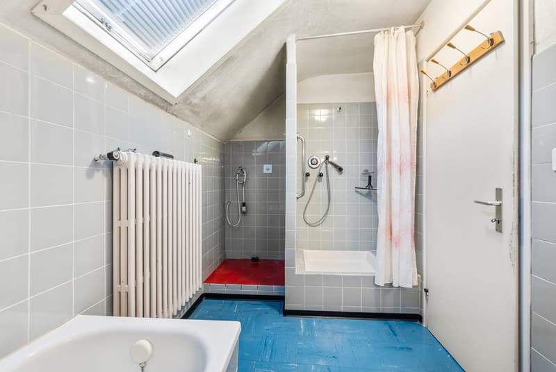 Tiled walls and floors, bathtub, shower, radiator, skylight