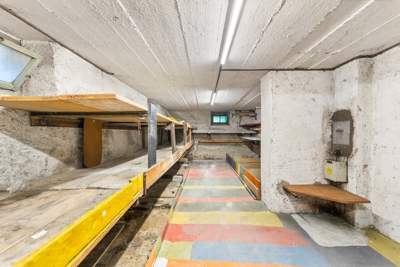 empty basement with shelves and windows