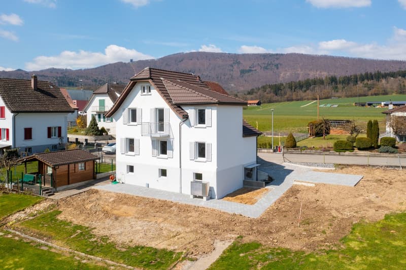 5-bedroom single-family house with mountain view in Winznau (1)