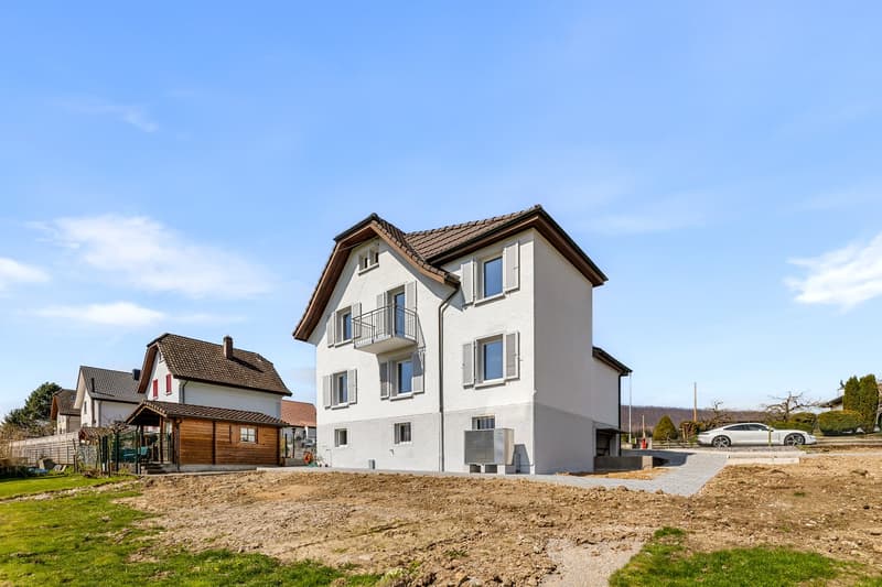 5-bedroom single-family house with mountain view in Winznau (46)