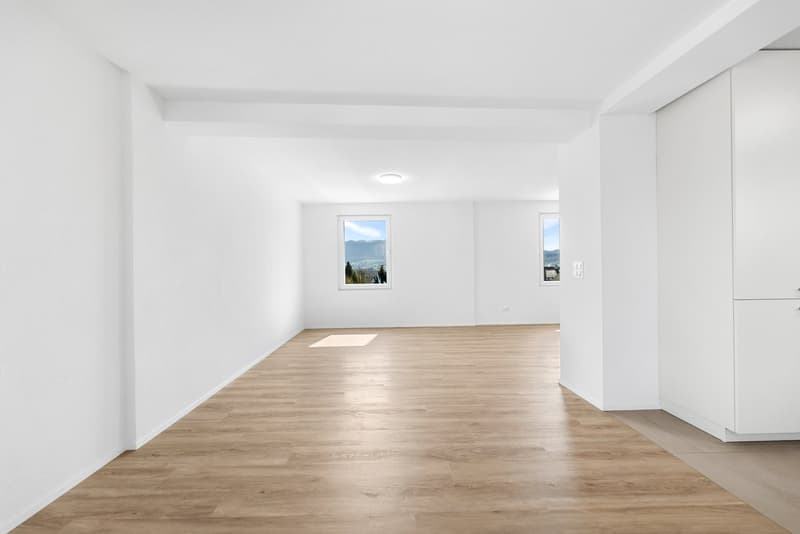 5-bedroom single-family house with mountain view in Winznau (10)
