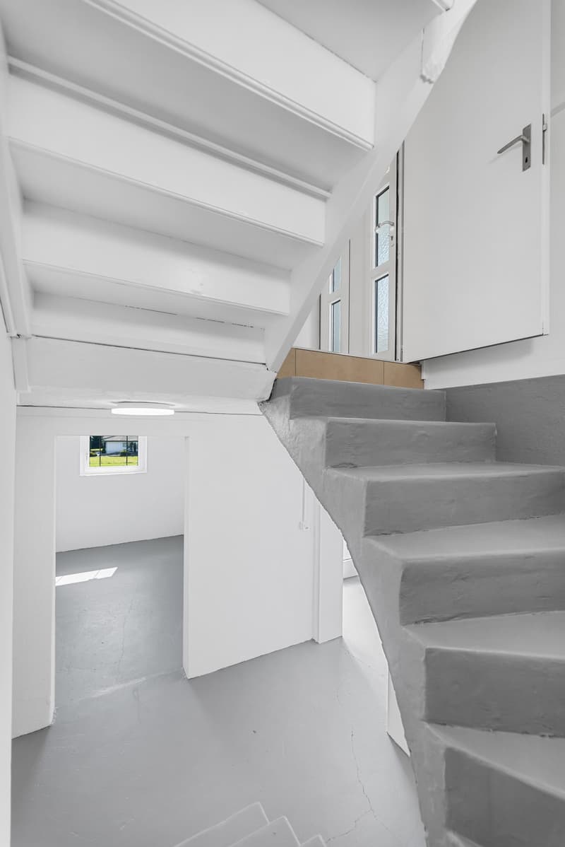 5-bedroom single-family house with mountain view in Winznau (36)