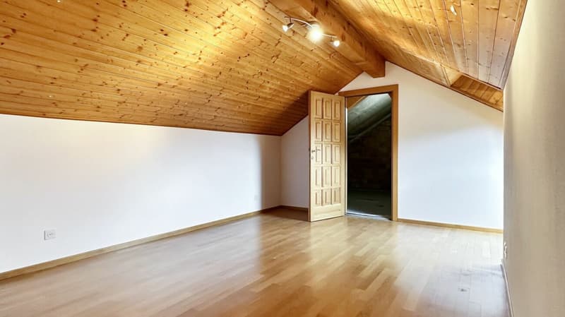 Losone - Appartamento duplex / Duplex-Wohnung (12)