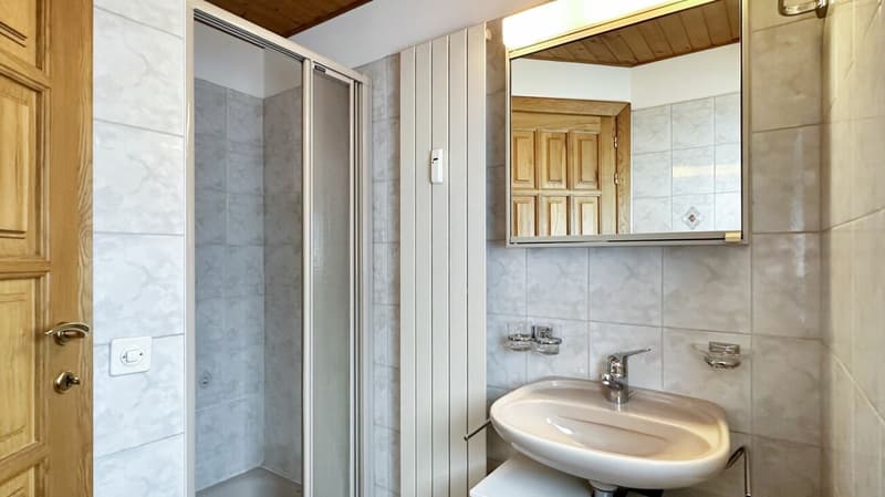 Losone - Appartamento duplex / Duplex-Wohnung (8)