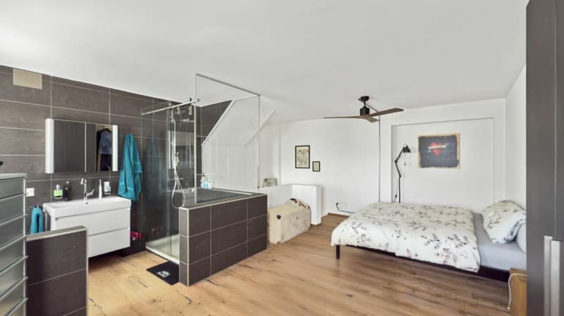 Locarno - Spazio commerciale con due appartamenti / Gewerbefläche mit zwei Wohnungen (8)