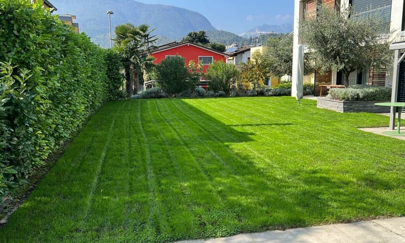 Ascona - Residenza Bella Vita (7)