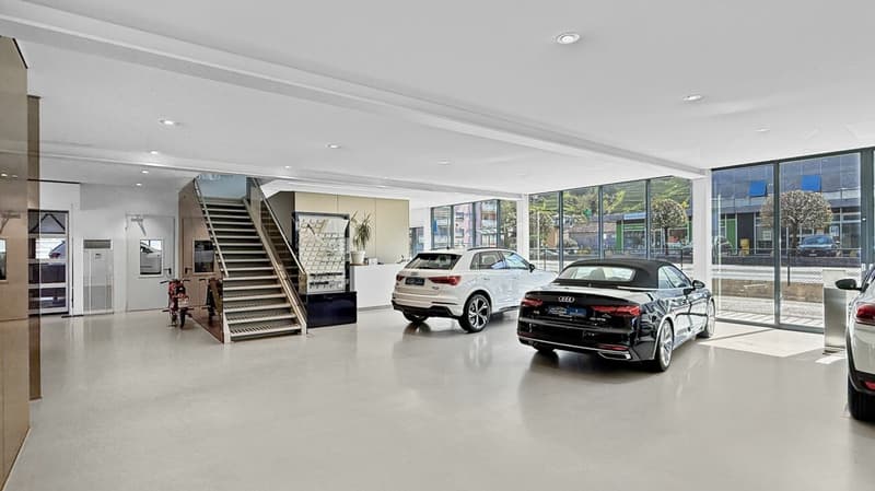 Contone - Edificio commerciale con showroom in posizione strategica / Gewerbegebäude mit Showroom in bester Lage (9)