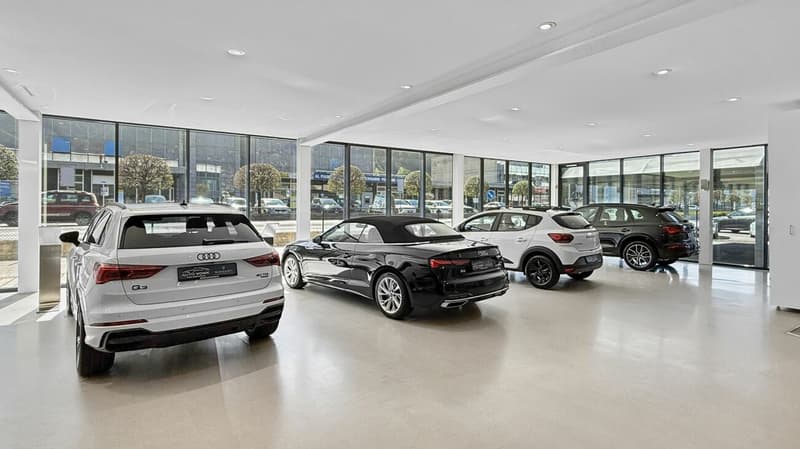Contone - Edificio commerciale con showroom in posizione strategica / Gewerbegebäude mit Showroom in bester Lage (3)