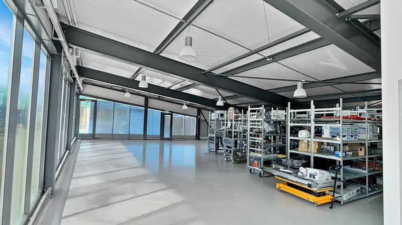 Contone - Edificio commerciale con showroom in posizione strategica / Gewerbegebäude mit Showroom in bester Lage (18)