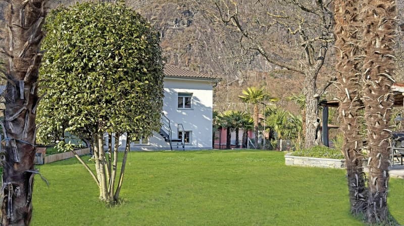 Tegna - Terreno edificabile / Bauland (2)