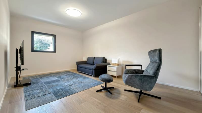 Ascona - Residenza Larissa (11)