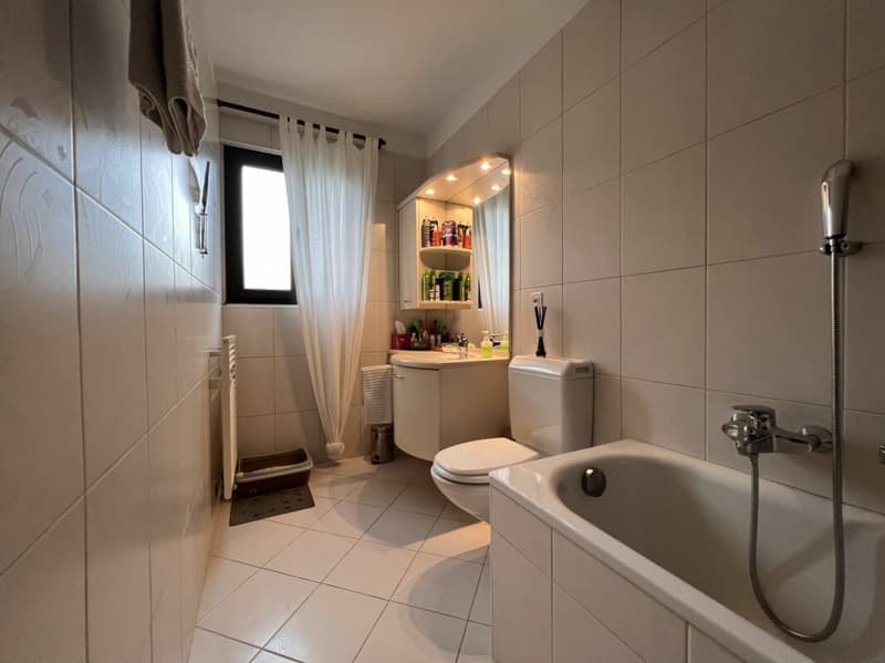 Losone - Casa Ticinese (7)