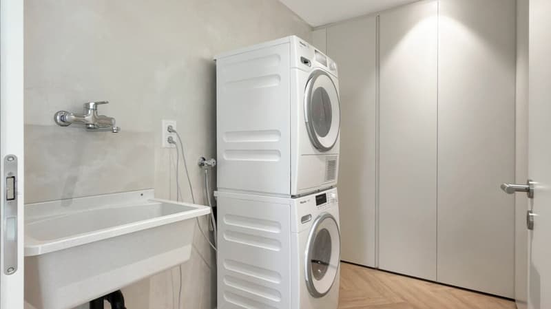 Losone - Exklusive Wohnung mit privatem Garten (14)