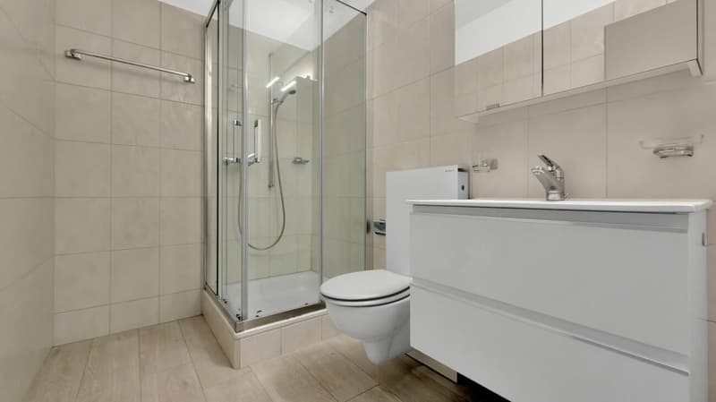 Minusio - Residenza Miralago (9)