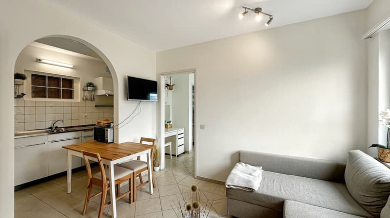 Brione sopra Minusio - Villa mit 3 Wohnungen (12)