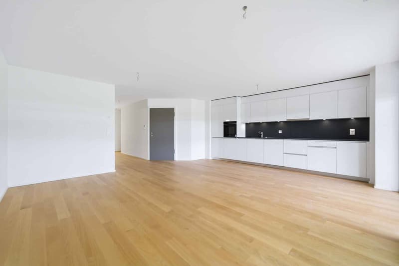 New 3.5-room apartment with double outdoor spaces (3)