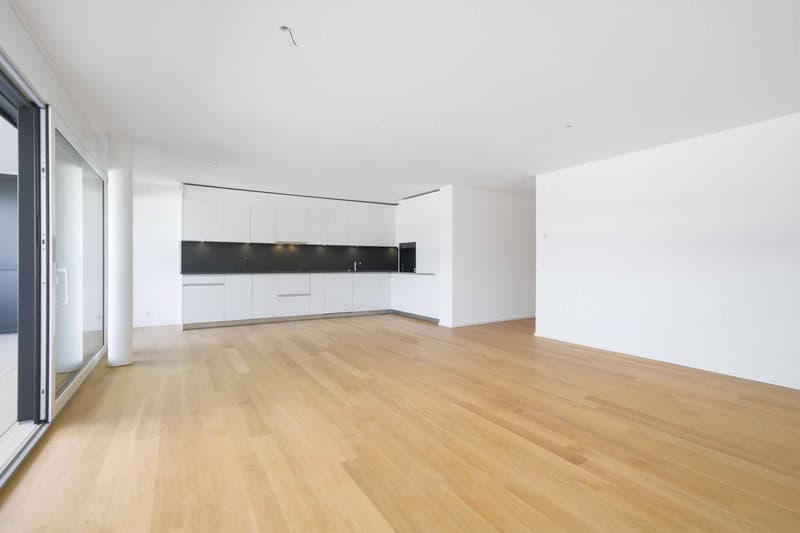 New cross apartment with 4.5 rooms and two balconies (4)