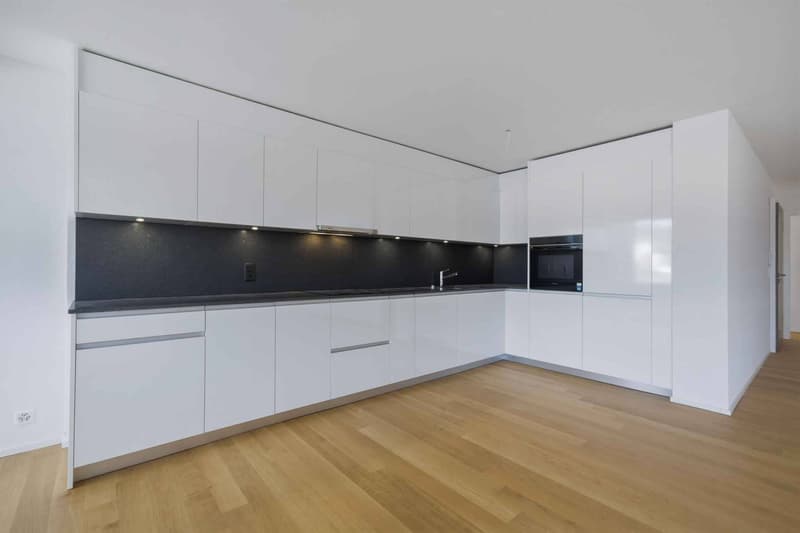 New cross apartment with 4.5 rooms and two balconies (3)