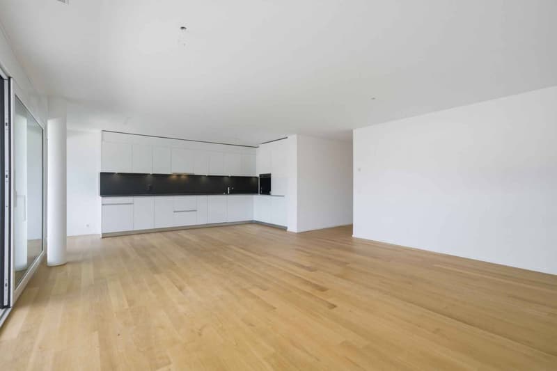 New cross apartment with 4.5 rooms and two balconies (4)