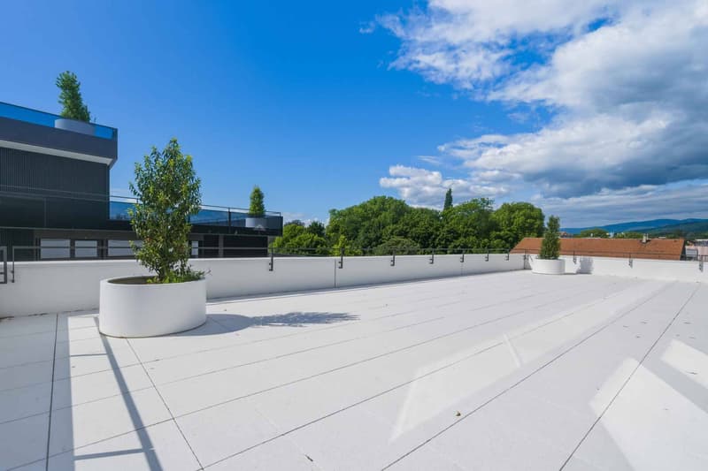 New high-standard apartment - 4.5 rooms on the corner with 164m² terrace (8)
