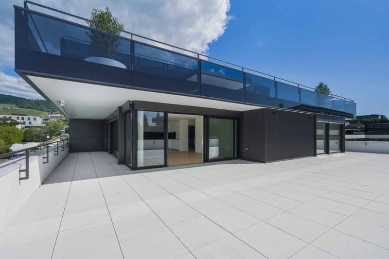 New high-standard apartment - 4.5 rooms on the corner with 164m² terrace (1)