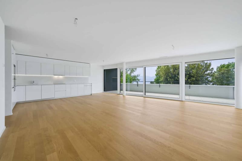 New luxury apartment - 4.5 rooms corner apartment with 76m² balcony - Lake view (1)