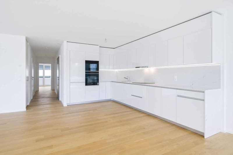 New luxury apartment - 4.5 rooms corner apartment with 76m² balcony - Lake view (3)