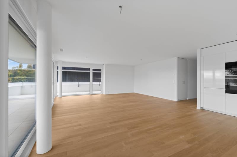 New high-standard apartment - 4.5 rooms in corner location with 76m² balcony - Lake view (4)