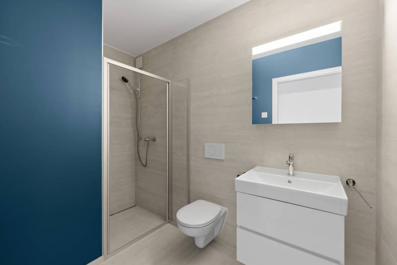 New high-standard apartment - 4.5 rooms in corner location with 76m² balcony - Lake view (7)