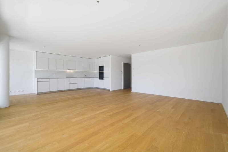 New high-standard apartment - 4.5 rooms in corner location with 76m² balcony - Lake view (3)