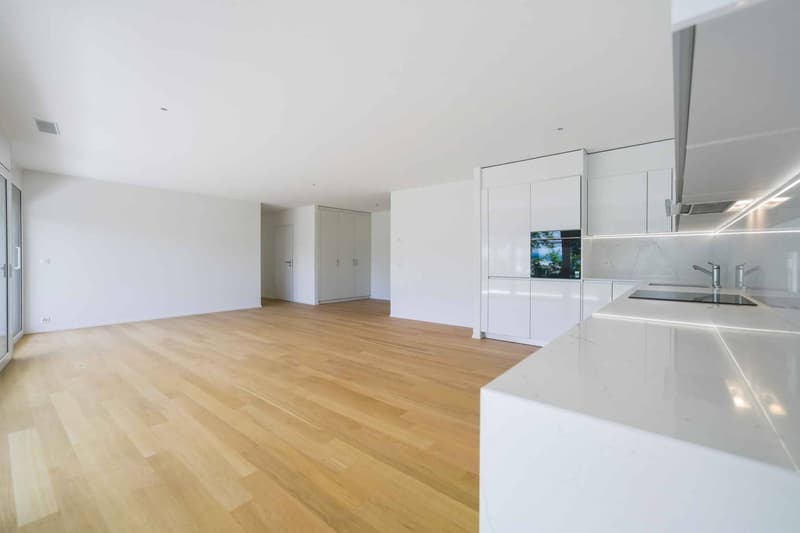 New 3.5-room apartment with terrace and private garden (4)