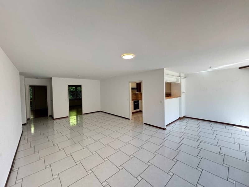 Appartement de 3.5 pièces avec terrasse plein Sud Quartier recherché (3)
