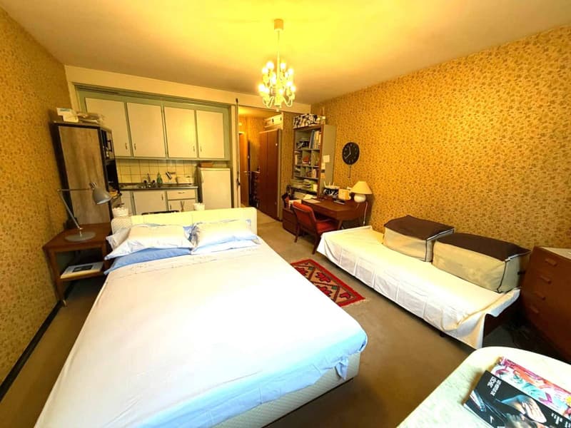 Studio Lausanne Centre - Quartier Florimont (3)