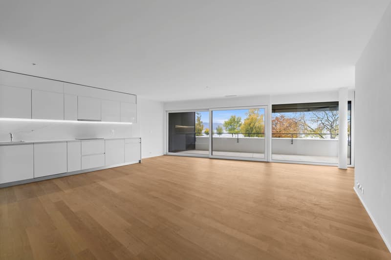 Appartamento di 3,5 locali con vista sul Lago di Ginevra (5)