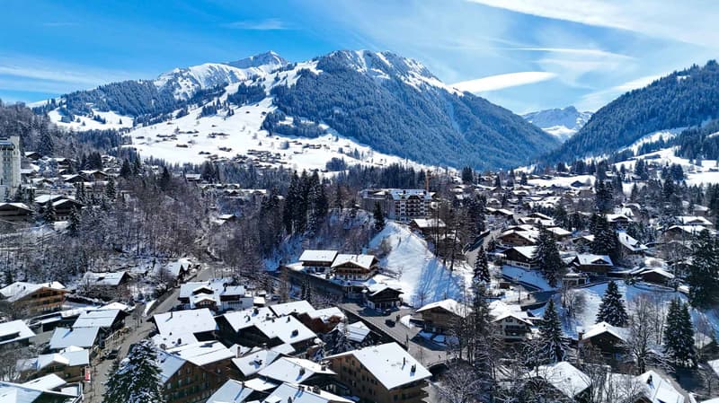 Elégant 2.5 pièces d'exception au centre du village (12)