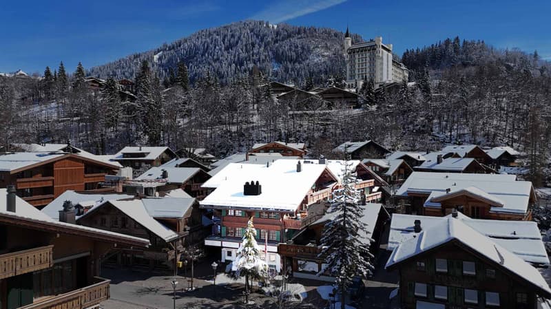 Elégant 2.5 pièces d'exception au centre du village (2)