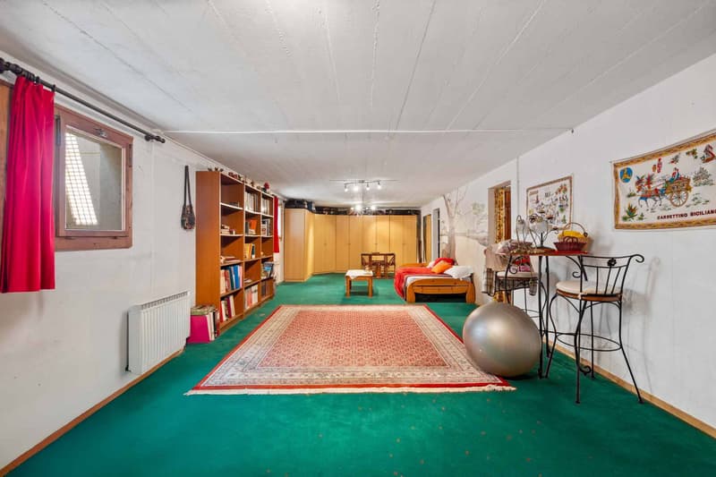 Magnificent single-family house with 7.5 rooms and large garden (13)