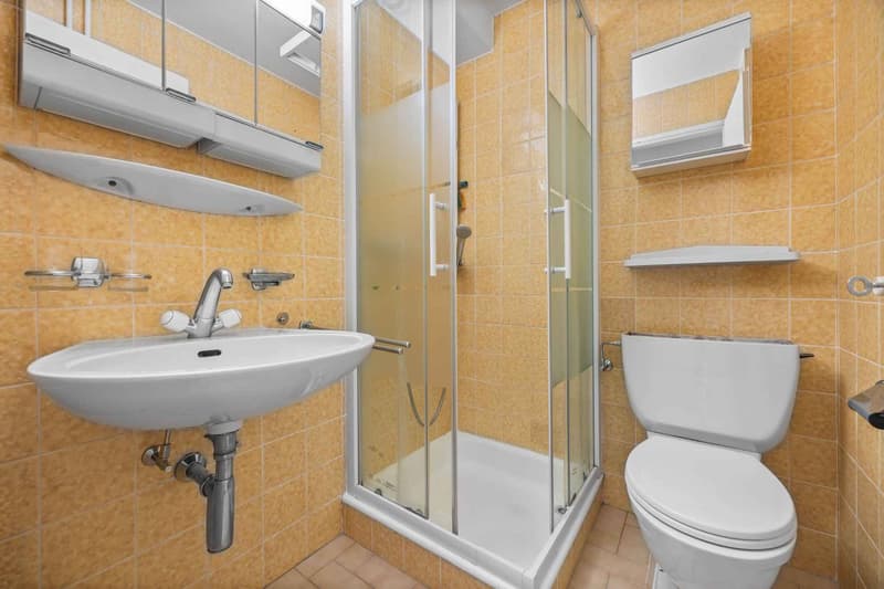 Spacious 4.5-room apartment with garden in Pully (6)