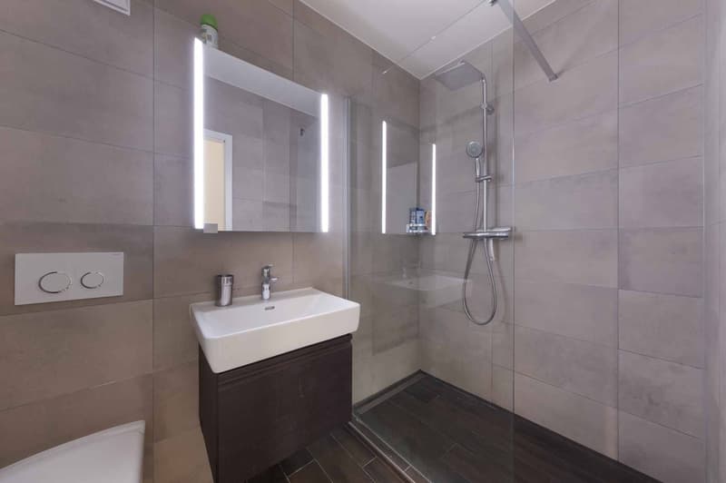 Apartment with 4.5 rooms located five minutes walk from the lake shore (8)