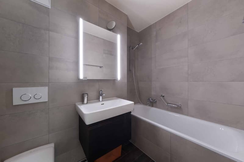 Apartment with 4.5 rooms located five minutes walk from the lake shore (10)