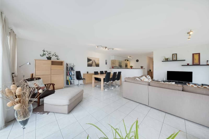 Apartment with 4.5 rooms located five minutes walk from the lake shore (2)