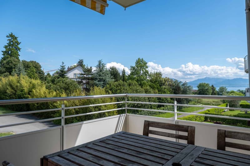 Apartment with 4.5 rooms located five minutes walk from the lake shore (1)