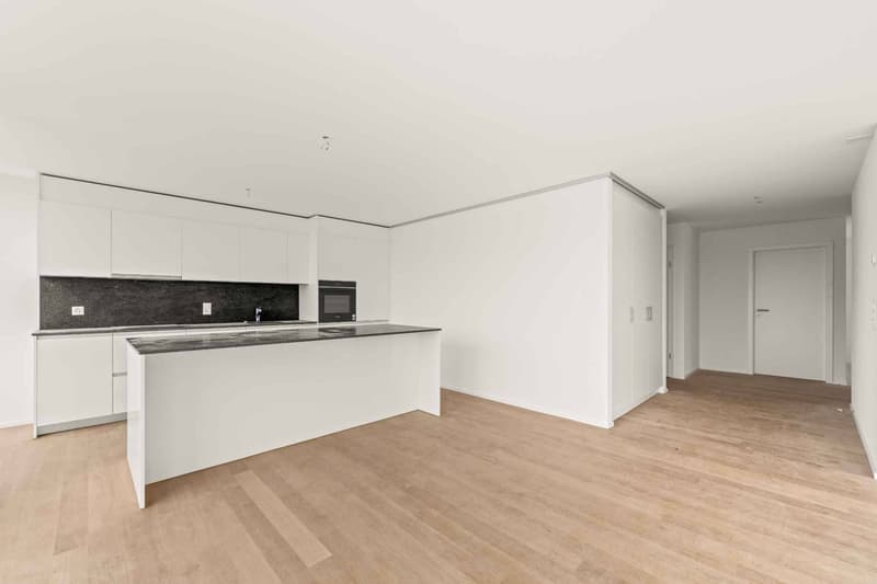 Splendid 5.5-room attic with 249m2 terrace (3)