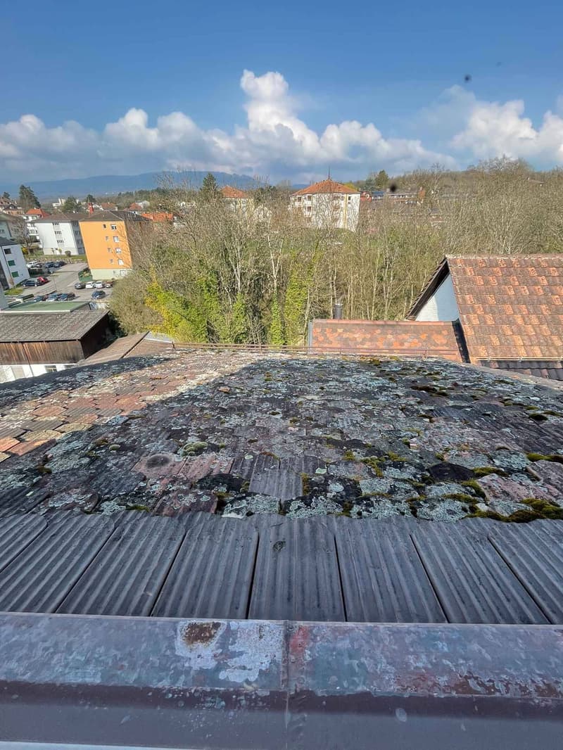 Wohngebäude mit Rendite in La Sarraz (8)