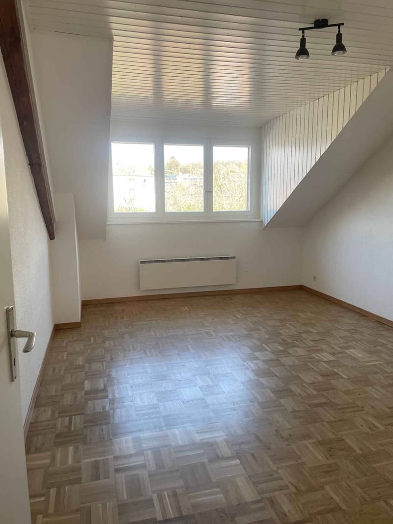 Wohngebäude mit Rendite in La Sarraz (3)