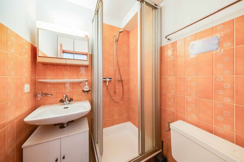 Appartement de 3,5 pièces avec grande terrasse (10)